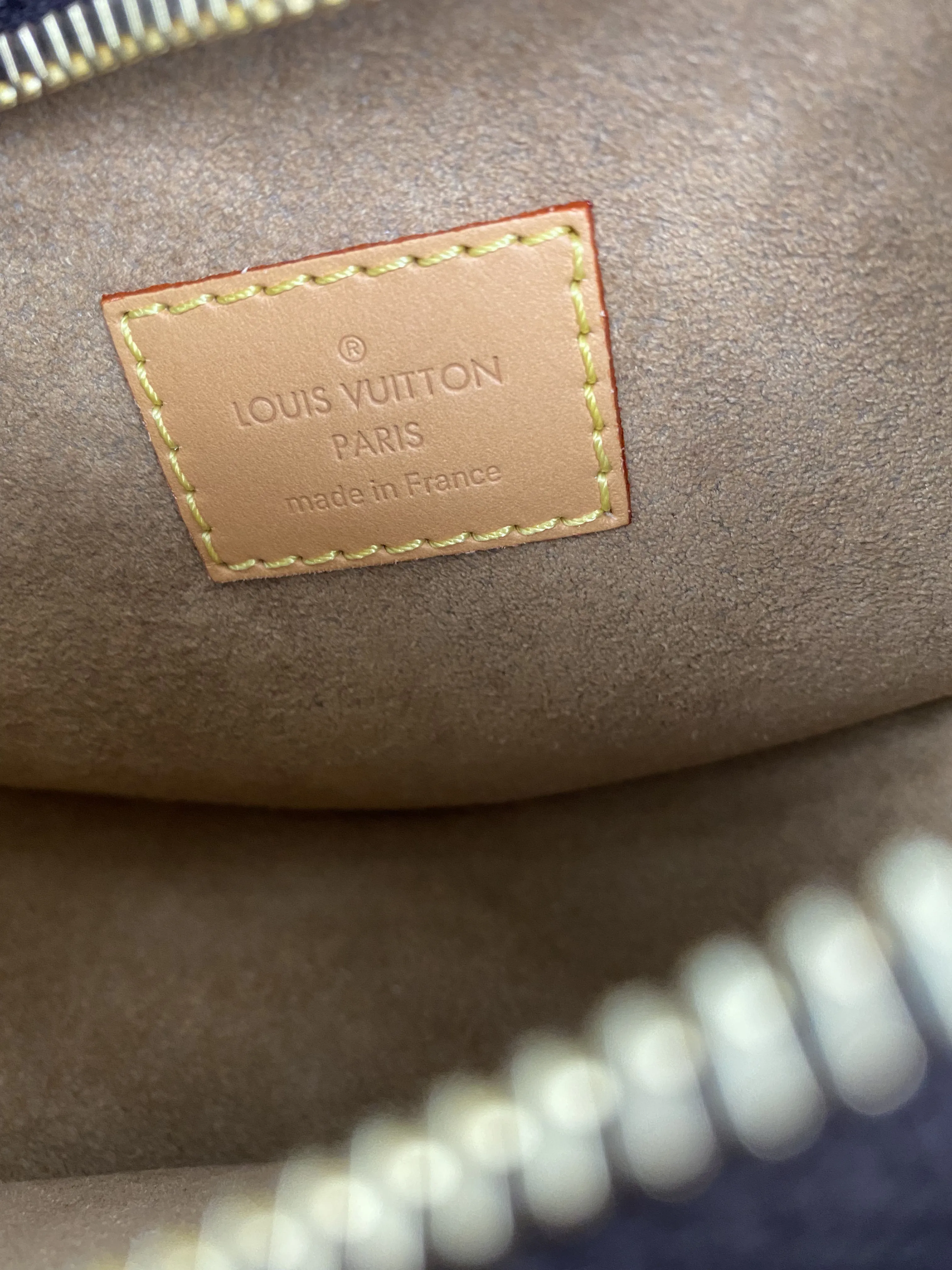 Louis Vuitton Monogram Loop Bag